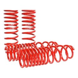 Skunk2® – Lowering Spring Kit