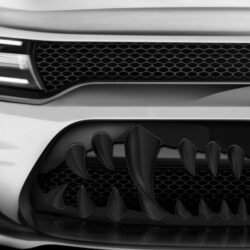 ACC® – Shark Tooth Style Grille