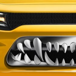 ACC® – Sabretooth Style CNC Machined Grille