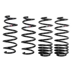 RS-R® – Down™ Lowering Spring Kit