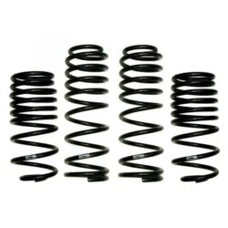 Skyjacker® – LOWjacker™ Lowering Coil Springs