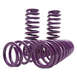 D2 Racing® – Pro Series Front and Rear Lowering Springs