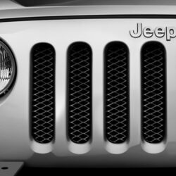 Rampage® – Grille Insert