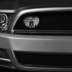 T-Rex® – Sport Series Mesh Grille