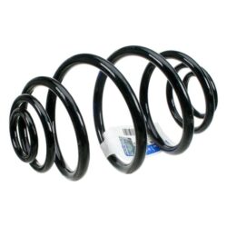 Genuine® – Coil Spring